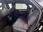 2019 RX 350 Thumbnail 20