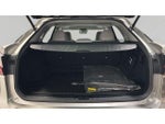 2019 RX 350 Thumbnail 21