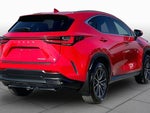 2024 NX 250 Thumbnail 13