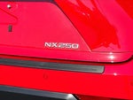 2024 NX 250 Thumbnail 28