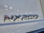 2025 NX 250 Thumbnail 14