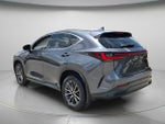 2024 NX 250 Thumbnail 7