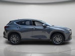 2024 NX 250 Thumbnail 8