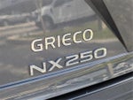 2025 NX 250 Thumbnail 11