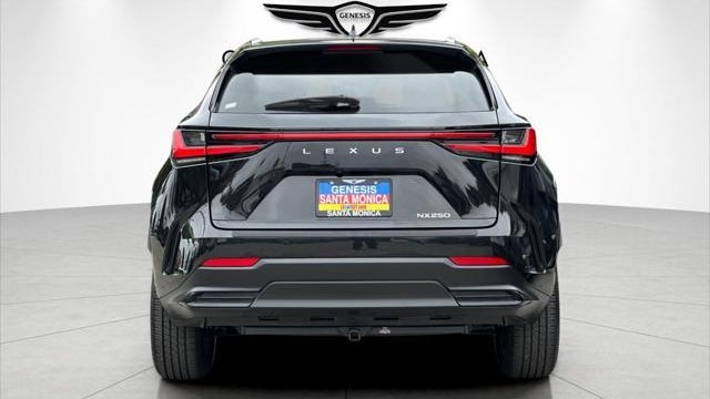 2024 Lexus NX 250 Premium