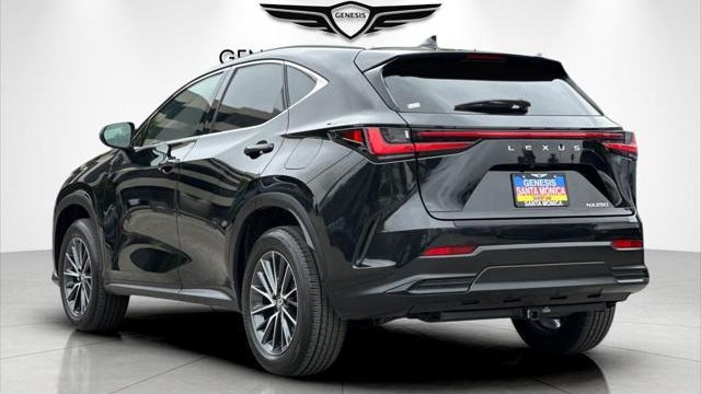 2024 Lexus NX 250 Premium