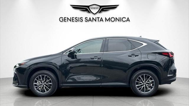 2024 Lexus NX 250 Premium