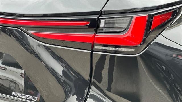 2024 Lexus NX 250 Premium