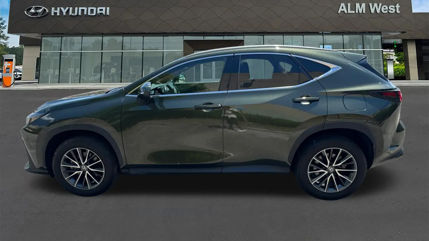2024 Lexus NX 250 Premium