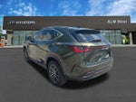 2024 NX 250 Thumbnail 7