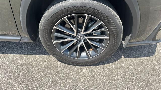 2024 Lexus NX 250 Premium
