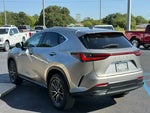 2023 NX 250 Thumbnail 4