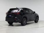 2023 NX 250 Thumbnail 8