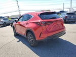 2023 NX 250 Thumbnail 3