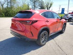 2023 NX 250 Thumbnail 4