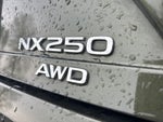 2025 NX 250 Thumbnail 1