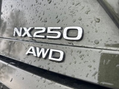 2025 Lexus NX 250 AWD Premium 4DR Crossover