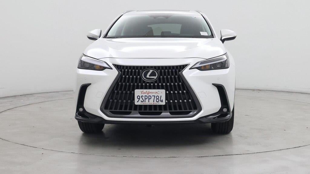 2025 Lexus NX 250 Premium