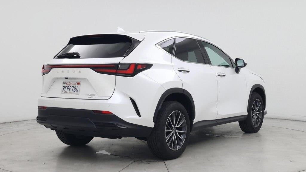 2025 Lexus NX 250 Premium