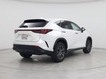 2025 NX 250 Thumbnail 8