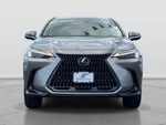 2023 NX 350 Thumbnail 2