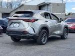2023 NX 350 Thumbnail 8