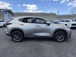 2023 NX 350 Thumbnail 9