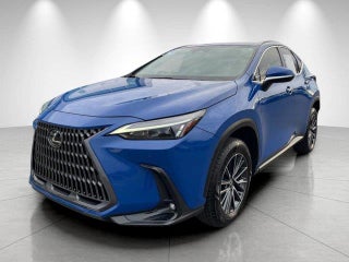 2024 Lexus NX 350 with Grecian Water Exterior