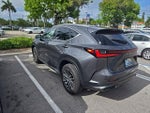 2024 NX 350 Thumbnail 7