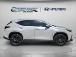 2022 NX 350 Thumbnail 9