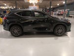 2024 NX 350 Thumbnail 10
