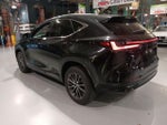 2024 NX 350 Thumbnail 14