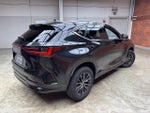 2024 NX 350 Thumbnail 6