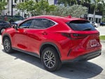 2023 NX 350 Thumbnail 6