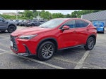 2023 NX 350 Thumbnail 4