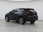 2025 NX 350 Thumbnail 2