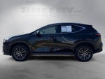 2023 NX 350 Thumbnail 18