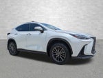 2024 NX 350 Thumbnail 1