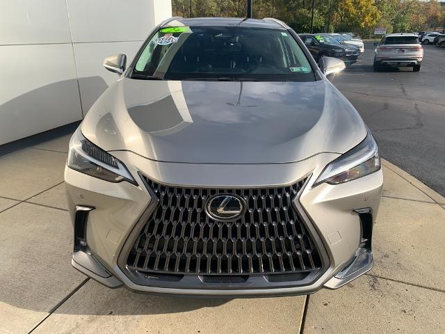 2024 Lexus NX - $39,988