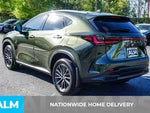 2024 NX 350 Thumbnail 5