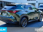 2024 NX 350 Thumbnail 6