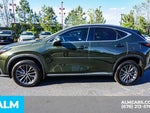 2024 NX 350 Thumbnail 7