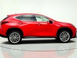2025 NX 350 Thumbnail 4