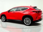 2025 NX 350 Thumbnail 7
