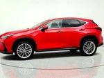 2025 NX 350 Thumbnail 8