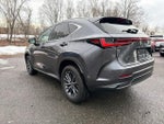 2023 NX 350 Thumbnail 4