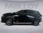 2024 NX 350 Thumbnail 2