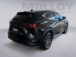 2024 NX 350 Thumbnail 5