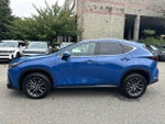 2024 NX 350 Thumbnail 19