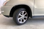 2009 RX 350 Thumbnail 19
